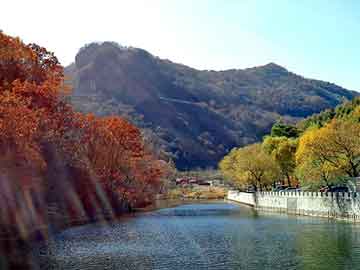 新澳天天开奖资料大全旅游团，电木机